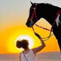 Private Horse Riding